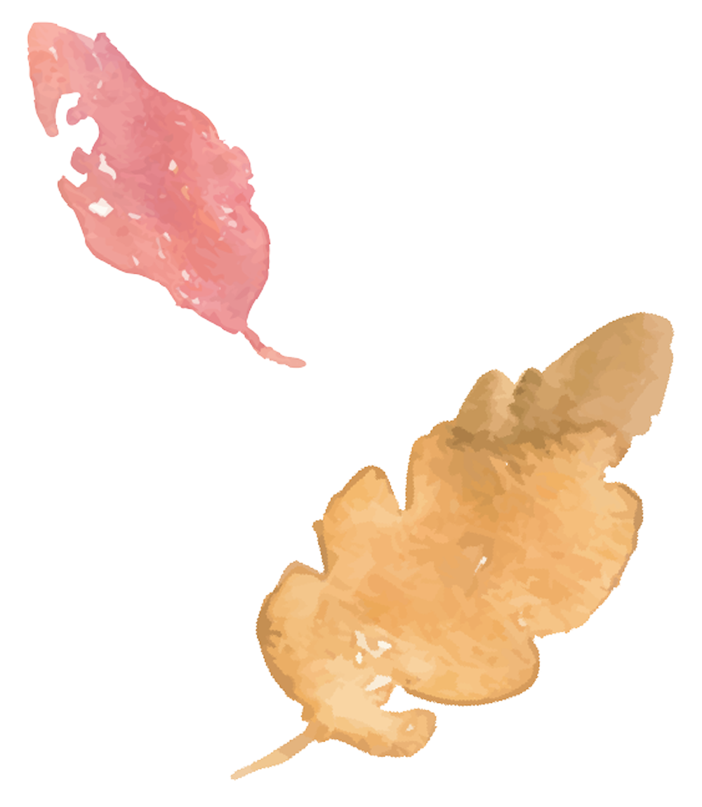 秋デコ
